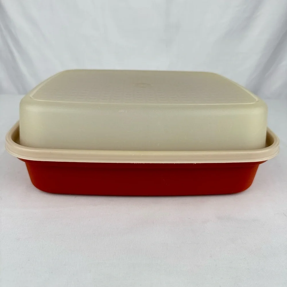 Vintage Tupperware Season n Serve Meat Marinading Container